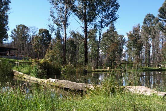 Marysville Trout and Salmon Ponds Marysville Trout and Salmon Ponds
